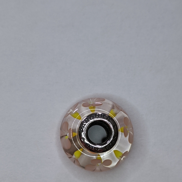 Retired Pandora Charm - Picture 3 of 3